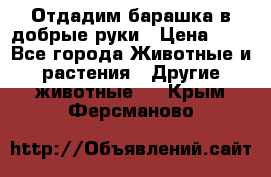 Отдадим барашка в добрые руки › Цена ­ 1 - Все города Животные и растения » Другие животные   . Крым,Ферсманово